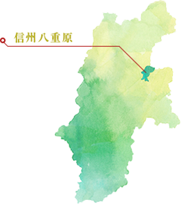 長野県内の信州八重原　東御市
