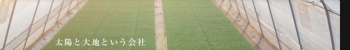 太陽と大地という会社