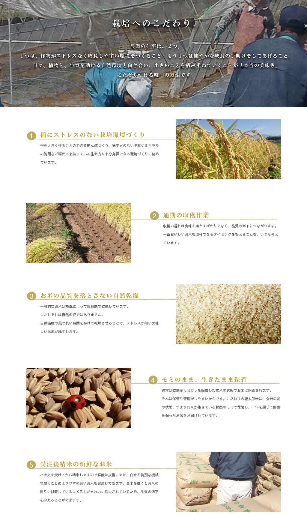 栽培へのこだわり 作物がストレスなく成長しやすい環境をつくる　健やかな成長の手助けをする