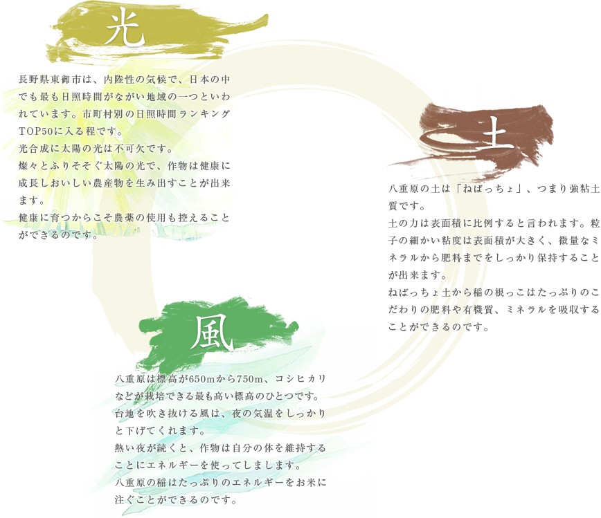 光 長野県東御市は、内陸性の気候で、日本の中での最も日照時間が長い。　土 八重原の土は「ねばっちょ」、つまり強粘土質です。　風 八重原は標高が650mから750m、コシヒカリなどが栽培できる最も高い標高のひとつです。