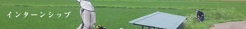 インターンシップ