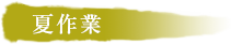夏作業