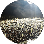 来年に向けて　１２月〜２月　土作り