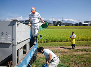 水田での作業の様子